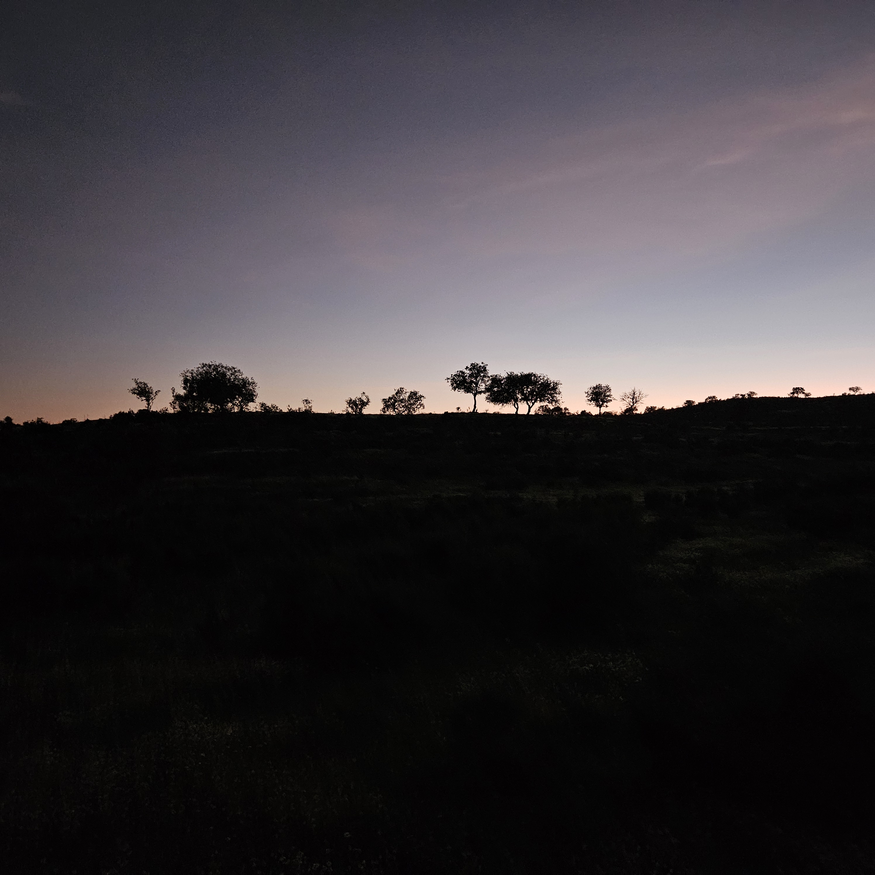 Evening View
